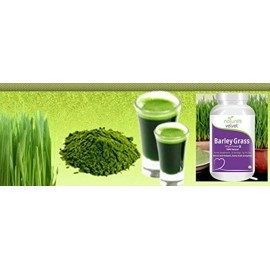 nature\'s velvet Lifecare Barley Grass Powder, 100 gms - Pack of One
