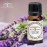 All Naturals Clary Sage Essential Oil 15ML 100% Pure Undiluted Therapeutic Grade For Aromatherapy