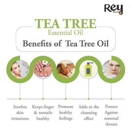 Rey Naturals Tea Tree Oil | Tea Tree Essential Oil for Hair, Skin and Face Care - 100% Pure Tea Tree Oil for Dandruff, Acne, Aromatherapy, Stress, and More - 15ml