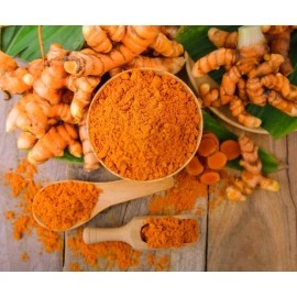 JIOO Organics Wild Turmeric Powder | Amba Haldi | Jungli Haldi | Kasturi Manjal | Pack of 1 | 100 Grams