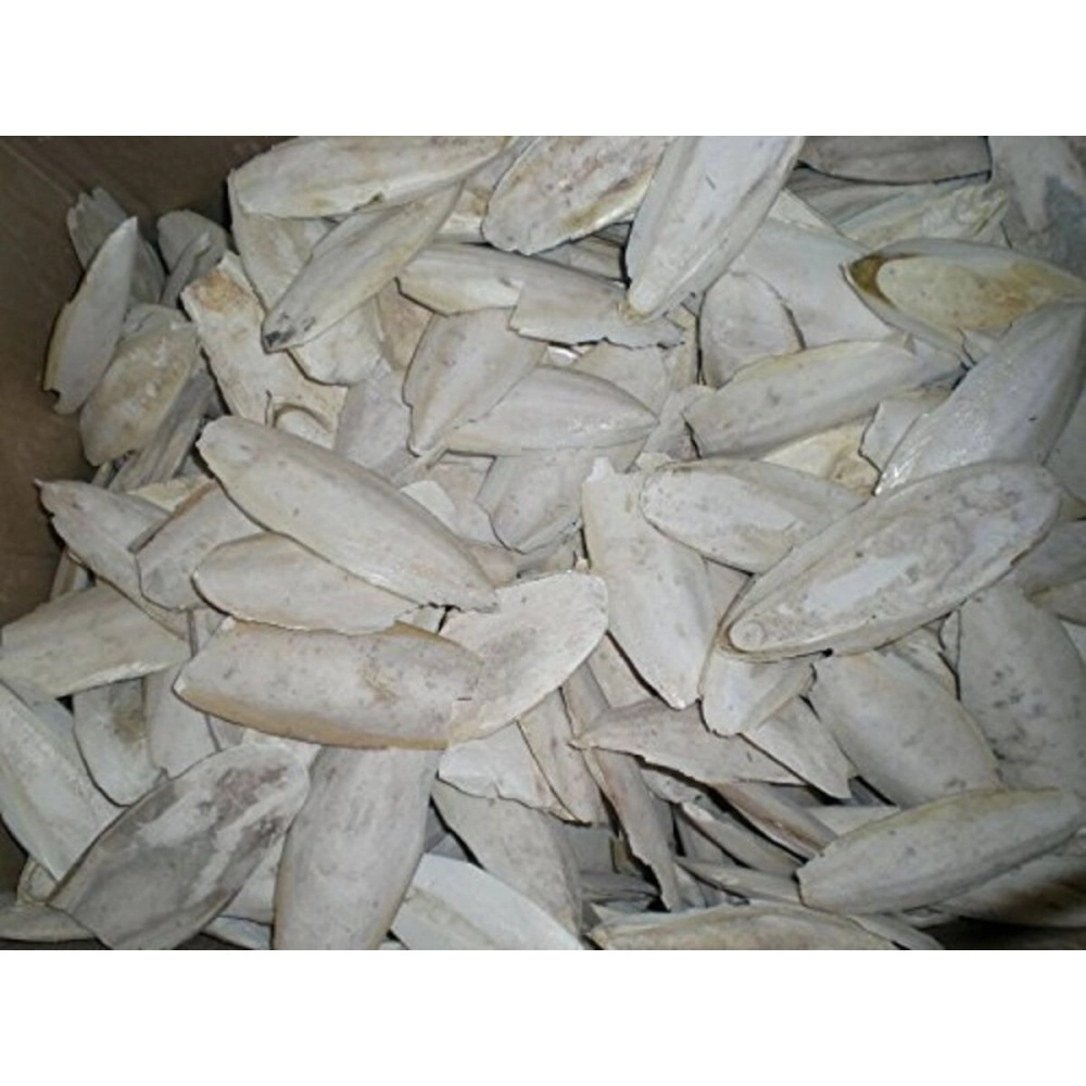 JD Cuttlefish Bone For Birds | Natural Calcium Product (250Gm)