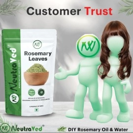 NeutraVed Rosemary Leaves | Use for Real Rosemary Water & Oil, Seasoning Food, Rosemary Tea, Hair Growth - 50 Gm