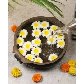 SATYAM KRAFT Hawaii Artificial Flowers (Pack of 24) (White)