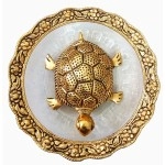 Trendy Crafts Metal Feng Shui Tortoise On Plate Showpiece (Golden, Diameter: 5.5 Inch)