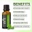 MNT Spearmint Essential Oil 100% Pure, Natural & Undiluted Therapeutic Grade oil for Hair, Skin, Body & Aromatherapy (15ML)