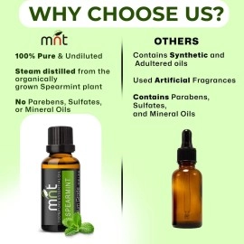 MNT Spearmint Essential Oil 100% Pure, Natural & Undiluted Therapeutic Grade oil for Hair, Skin, Body & Aromatherapy (15ML)