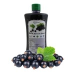 Neotea Black Currant Fruit Crush, 250ml - Fresh, Juicy & Delicious with Real Fruit Pulp, Naturally Sweetened, No Artificial Flavors or Preservatives, Refreshing Drink for All Ages