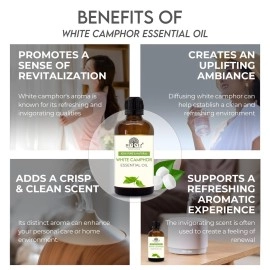 Devinez White Camphor Essential Oil, 100% Pure, Natural & Undiluted, 10ml, Relieves Skin Itching And Irritation, Soothes Burns & Rashes, Cures Acne, Boosts Hair Growth, Fights Hair Loss