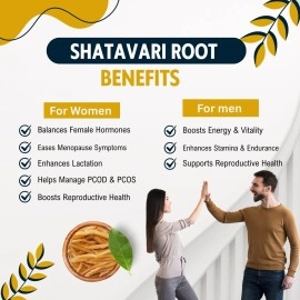 BrijBooti Birju Mahavir Shatavari Root - Asparagus Racemosus - Satawar - Satawari 100 Gr