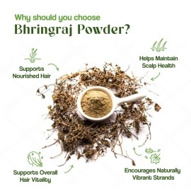 H&C Herbal Ingredients Expert Natural Bhringraj (Eclipta Alba) Powder - 227g