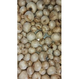 Aaswad Impex Un Peeled Clove Black Garlic (284 Grams / 10O OZ)