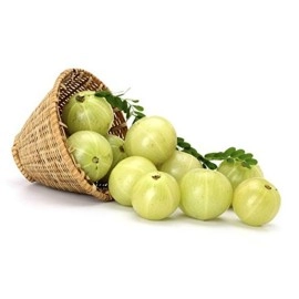 Neotea Fresh Organic Dry Amla Gooseberry Aonla Nelli with Honey 100 gm