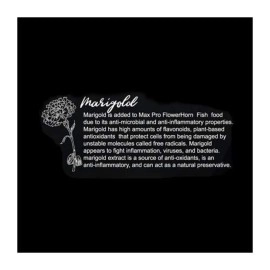 Taiyo AMBER Max Pro Flowerhorn Food (100 g,)