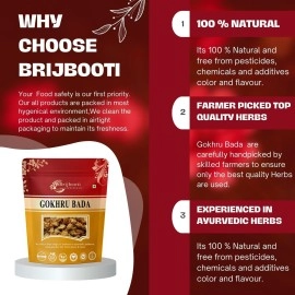 Birju Mahavir Gokhru Bada - Pedalium Murex - Large Caltrops, Natural, 200 gram (BMPL-352)