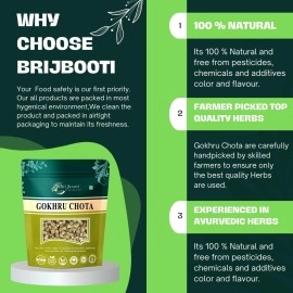 BrijBooti Birju Mahavir 100 Gr Gokhru Chota - Tribulus Terrestris Seeds - Small Caltrops