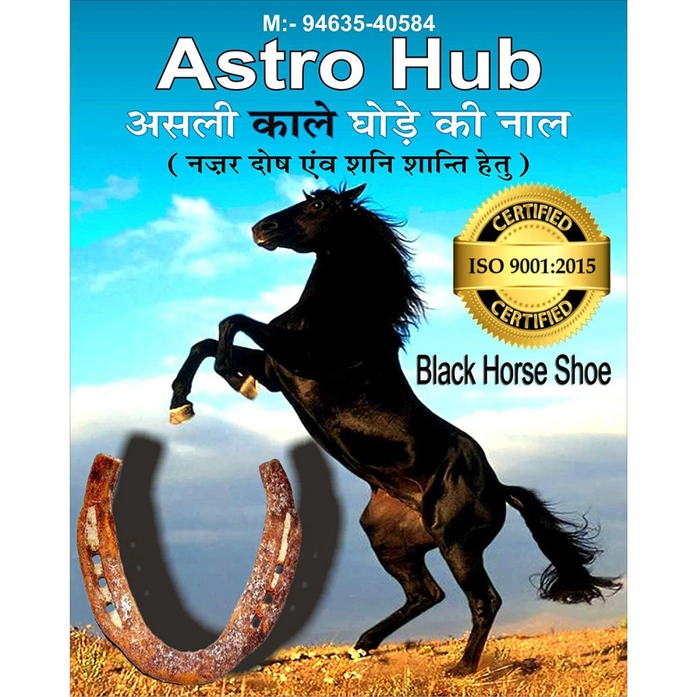 ASTRO HUB Black Horse Shoe for Good Luck, Protect Your Home/Office from Evil Eyes (Brown)