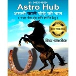 ASTRO HUB Black Horse Shoe for Good Luck, Protect Your Home/Office from Evil Eyes (Brown)