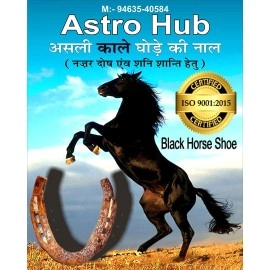 ASTRO HUB Black Horse Shoe for Good Luck, Protect Your Home/Office from Evil Eyes (Brown)