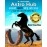 ASTRO HUB Black Horse Shoe for Good Luck, Protect Your Home/Office from Evil Eyes (Brown)