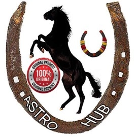ASTRO HUB Black Horse Shoe for Good Luck, Protect Your Home/Office from Evil Eyes (Brown)