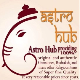 ASTRO HUB Black Horse Shoe for Good Luck, Protect Your Home/Office from Evil Eyes (Brown)