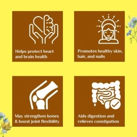 ORGANIC INDIA Flax Seed Oil 60 N Veg Capsules