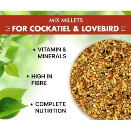 Boltz Bird Food for Cockatiel & Lovebirds Mix Seeds, Canary Seed, Sunflower seed, All Stage Bird Food, Natural and Healthy Premium Mix Seeds, Improve Birds Immune System (Mix Seed,1200 Gm)