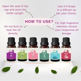 AIR-ROMA Aroma Diffuser Oil Combo of 6 (Lemon Grass Japanese Rose, Madurai Jasmine, Apple Spice, English Ocean and Ginger Lily) 60ml for Home, Candle, Office