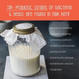 Cultures To Love Zoh Probiotics - Milk Kefir Starter Culture | 55-60 Strains | Pack Of 5 | Make Upto 100 Litres | Liquid, Coconut Flavour