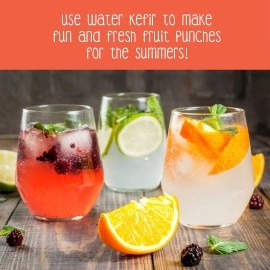 Zoh KEFIR CULTURE Water Grains