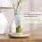 AIR-ROMA Pure, Natural and Undiluted Lemon Grass Aroma Diffuser Oil, 100ml | Strong & Long-Lasting Aroma - Fragrance Oil for Home, Office, Candles