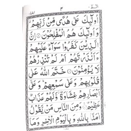 Al Hasanat Books Pvt. Ltd. Quran 30 Para Set (Ap) with Pouch Bag - POCKET SIZE