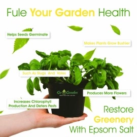 Go Garden Epsom Salt Magnesium Sulphate For Plant Growth - 450 Gms, Powder