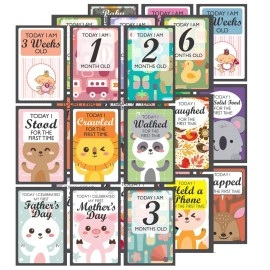exciting Lives - Baby Milestone Cards: Gift for Ne..