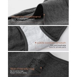 INNERSY Womens Underwear Cotton Hipster Panties Regular & Plus Size 6-Pack(Medium,Dark Vintage), Dark Vintage, M