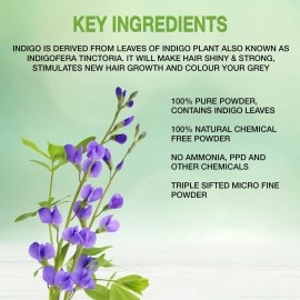 Elemensis Naturals Pure Indigo Powder organic for hair color, make shiny and strong hair, reduce hair fall and dandruff, 100gm