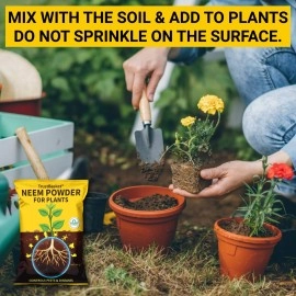 TrustBasket Neem Cake Powder/Neem Khali - 900gm - Extracted Through Cold Press Technology - Higher Azadirachtin & Neem Oil Content - Organic Fertilizer and Pest Repellent for Plants