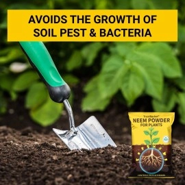 TrustBasket Neem Cake Powder/Neem Khali - 900gm - Extracted Through Cold Press Technology - Higher Azadirachtin & Neem Oil Content - Organic Fertilizer and Pest Repellent for Plants