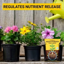 TrustBasket Neem Cake Powder/Neem Khali - 900gm - Extracted Through Cold Press Technology - Higher Azadirachtin & Neem Oil Content - Organic Fertilizer and Pest Repellent for Plants