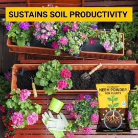 TrustBasket Neem Cake Powder/Neem Khali - 900gm - Extracted Through Cold Press Technology - Higher Azadirachtin & Neem Oil Content - Organic Fertilizer and Pest Repellent for Plants