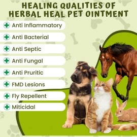Caredom Heal Pet | Veterinary Herbal Ointment | Fungal Infection Cream for All Types of Wounds | Antifungal Cream for Burns, Cuts & Skin Problems | F.M.D Lesions for All Pets | 60gm | Pack of 2