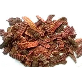 The Forest Herbs Natural Care From Nature Organic Whole Dried Sabut Shikakai, Acacia Concinna RAW Form (500GMS)