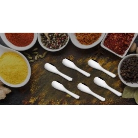 Koko Stainless Steel Masala Spoons For Spices Jar & Container | Masala Spoon Set of 12 Pieces | Small Masala Spoons For Spices | Length 9 CM, Silver Masala Spoon