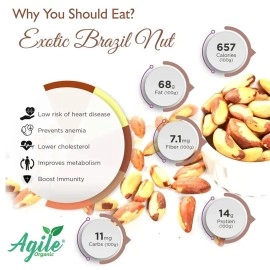 Agile Organic Jumbo Brazil Nuts 500g | Whole, Raw and Unsalted | Immunity Boosting | Rich in Selenium and Magnesium (Grade A ++ Nuts, Premium Jumbo Size, Imported)