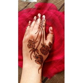 Amina Henna Instant Tatto Red Outline Mehndi/No Chemicals Dyes - Color Paste Cone (Red, 12 Piece) (Red)