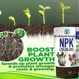 Shiviproducts NPK 20 20 20 fertilizer mixed with Root Growth Hormone for Home Garden Plants Growth and Flowering (900 gm) | Free spray bottle 200ml
