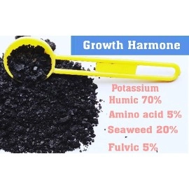 Shiviproducts NPK 20 20 20 fertilizer mixed with Root Growth Hormone for Home Garden Plants Growth and Flowering (900 gm) | Free spray bottle 200ml