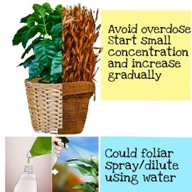 Shiviproducts NPK 20 20 20 fertilizer mixed with Root Growth Hormone for Home Garden Plants Growth and Flowering (900 gm) | Free spray bottle 200ml