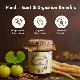 Nutriorg Vedic Chyawanprash 500g | Made with 49 Ayurvedic Herbs | Boosts Immunity, Digestion & Energy | Rich in Antioxidants & Vitamin C | Supports Overall Health