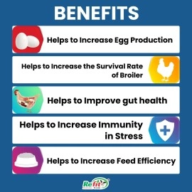 REFIT ANIMAL CARE Prebiotics & Probiotics Powder for Birds, Poultry, Chicken, Chicks, Hen & Broiler of All Life Stages, Help to Increase Egg Production (500gms or 0.5Kg) FloraZone